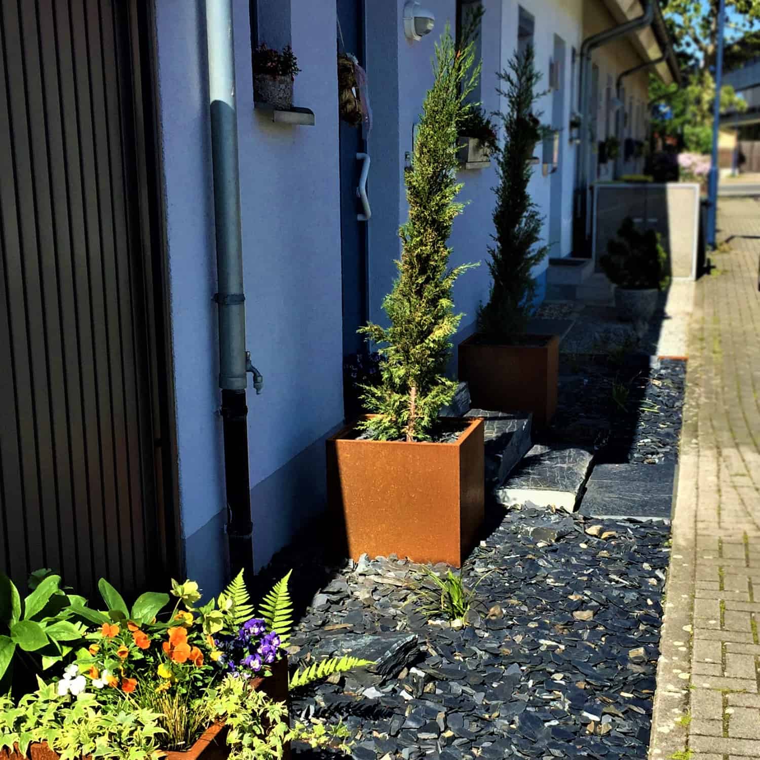 Hauseingang mit Bepflanzung